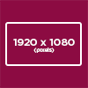 1920x1080 pixel resolution